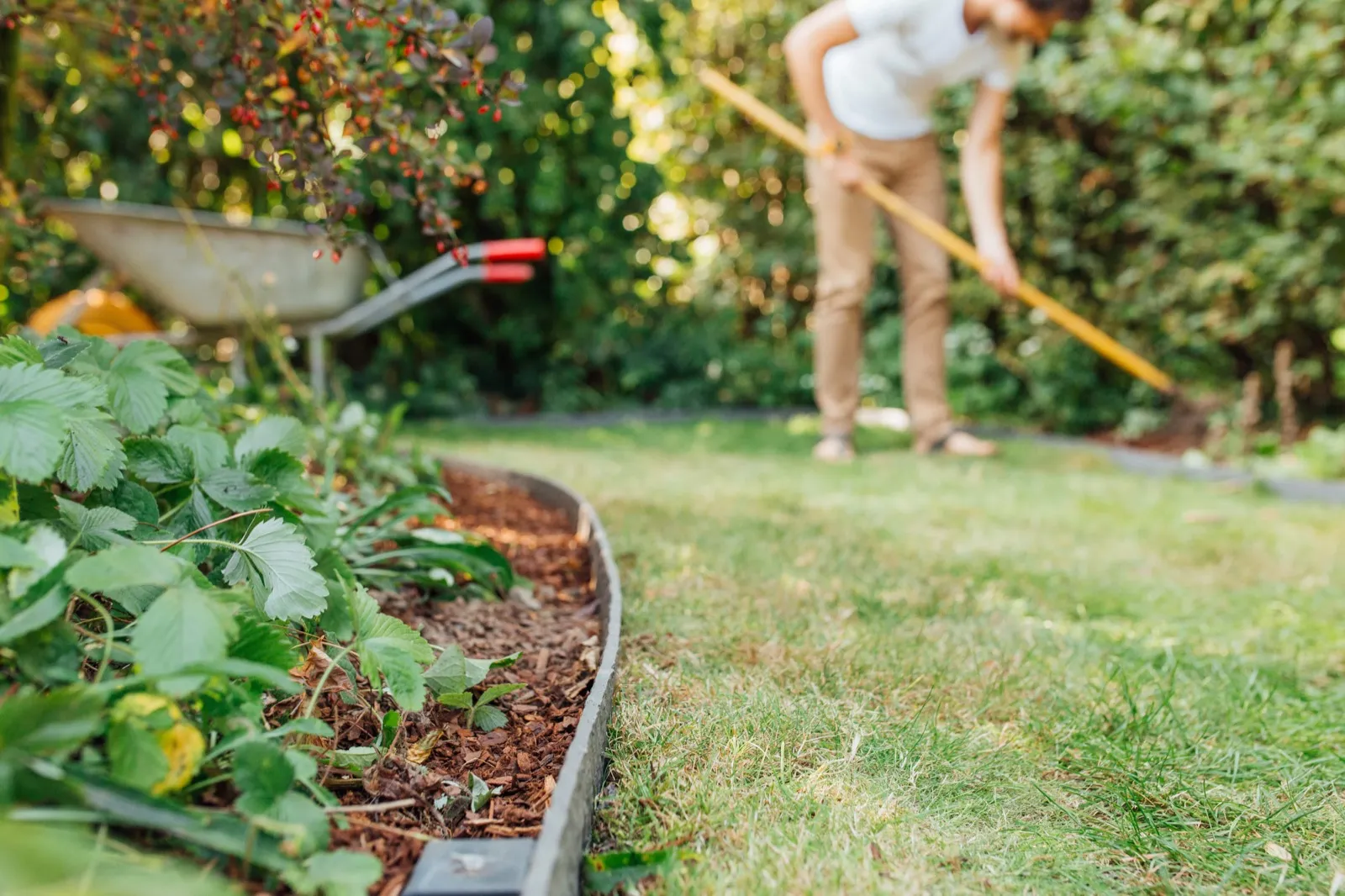 A garden bed edged with a single unbroken Ant Garden profile, mulch on one side and mown lawn on the other, with a gardener raking behind.
