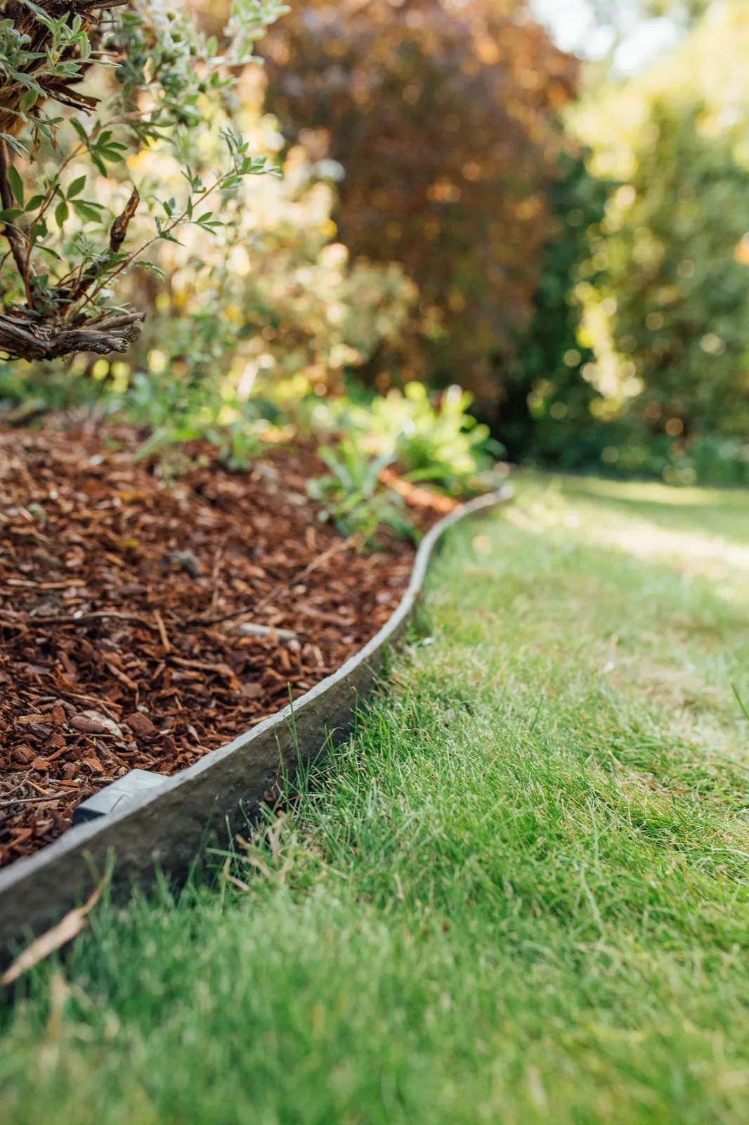 A mulched planting bed edged in a long golden-hour curve.
