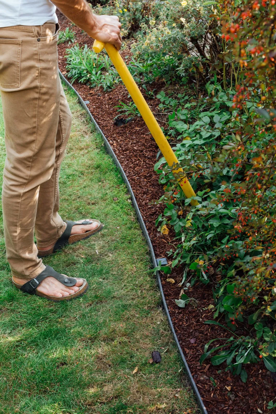A bark bed edged with one long unbroken curve of black Ant Garden profile, anchor peg heads visible along it.